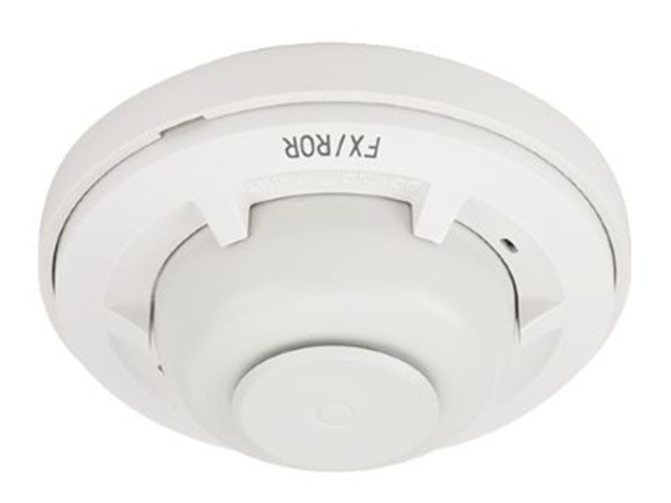 Fajas levanta cola en Bogotá